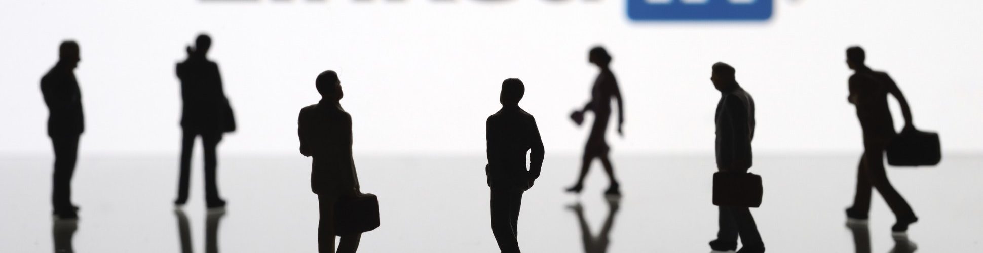 linkedin network laolacreativa 1 1