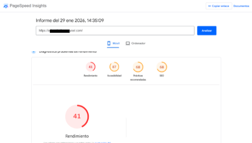 Antes de la Optimización web profesional para WordPress