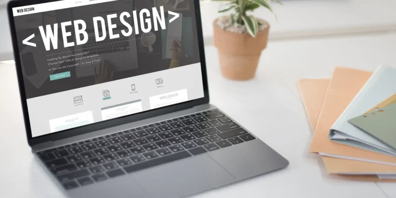 diseño web wordpress profesional (1)