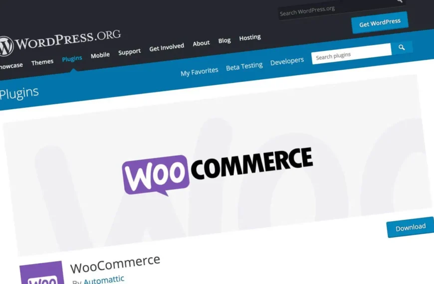 ¿WordPress o Tiendanube? ¿Qué plataforma conviene para vender online?